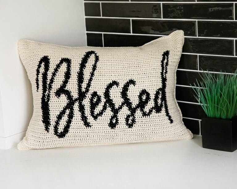 Thanksgiving Pillow Covers Free Crochet Pattern