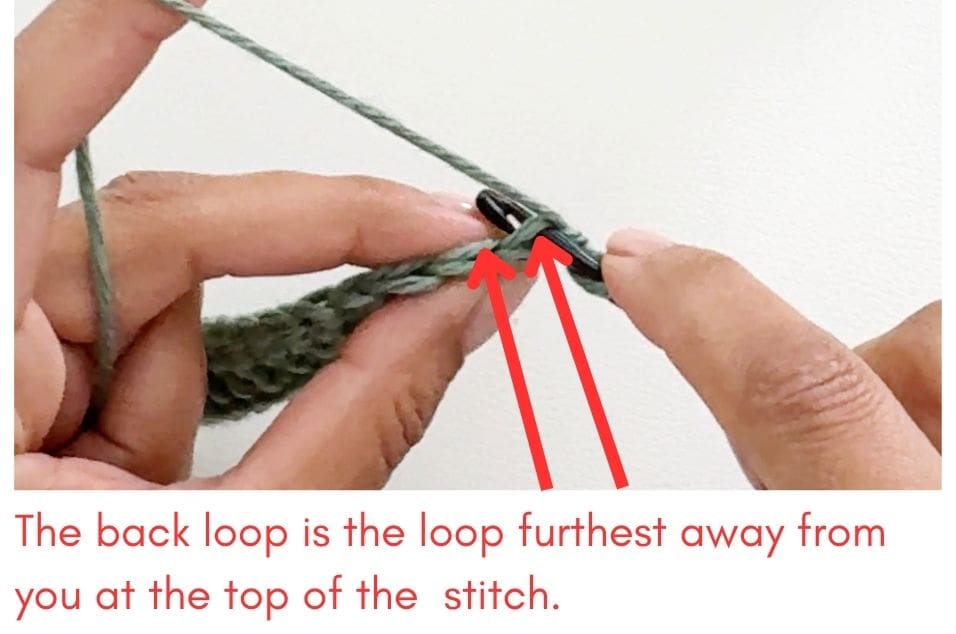 Crochet Back Loop Location